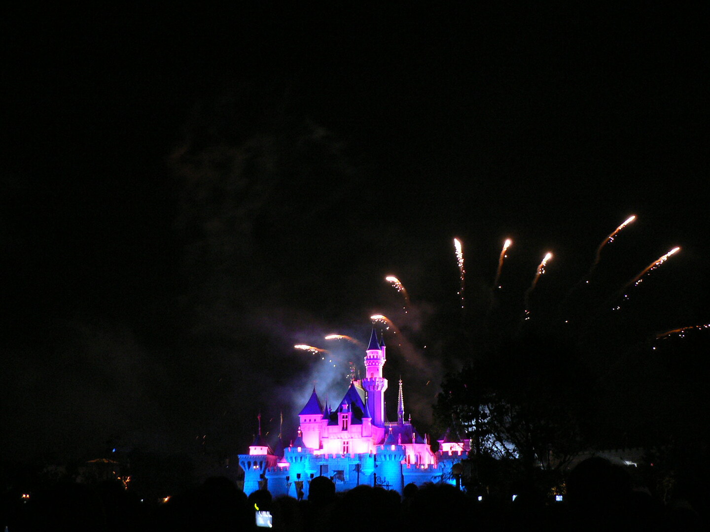 P1000166.JPG