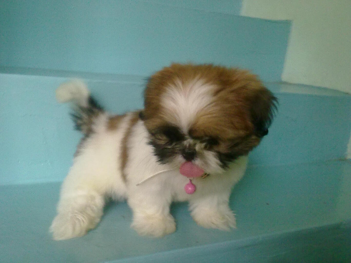 201010071103.jpg