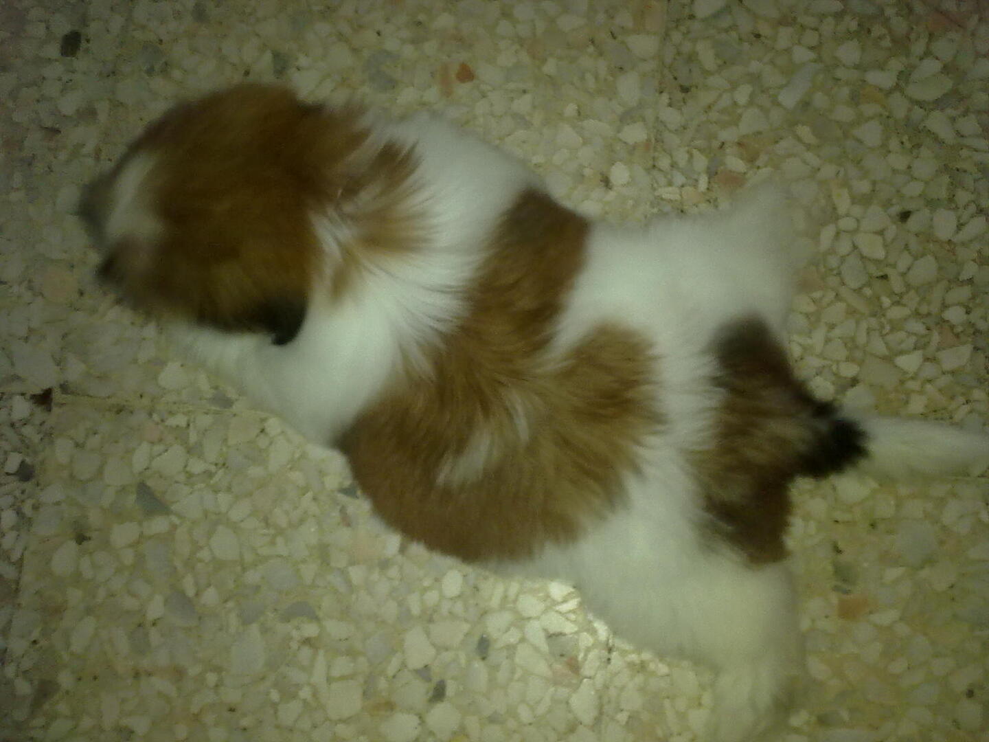 201010071096.jpg