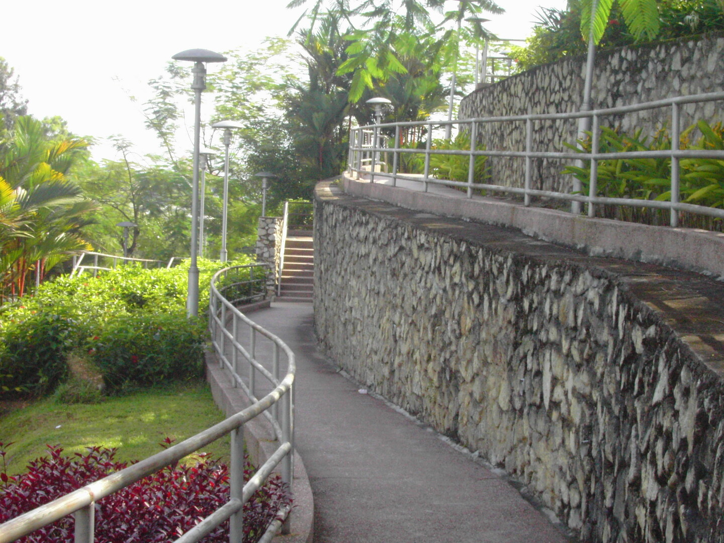 PICT3390.JPG