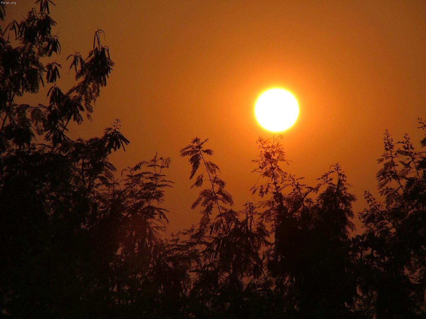 sunset.jpg