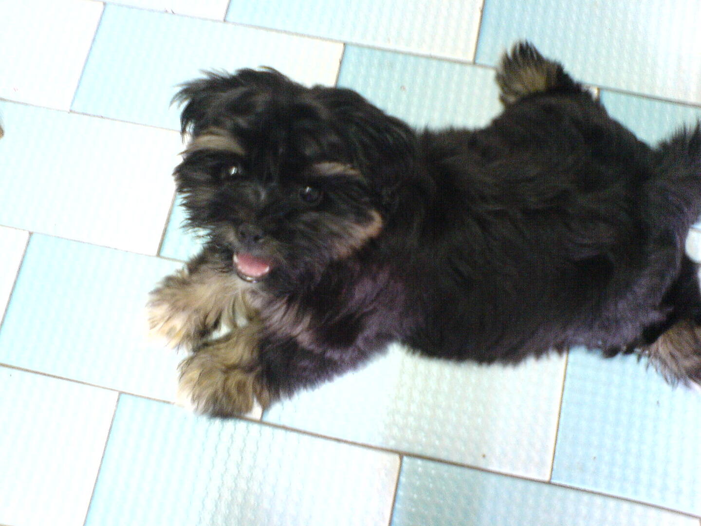 DSC00122.JPG