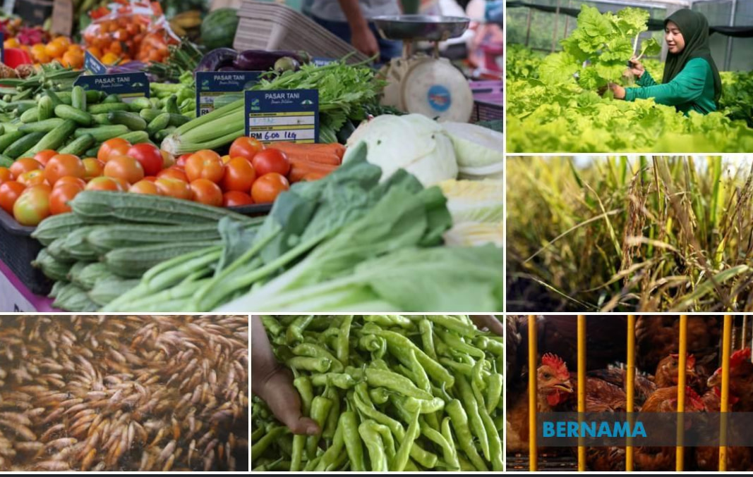 0909bernama