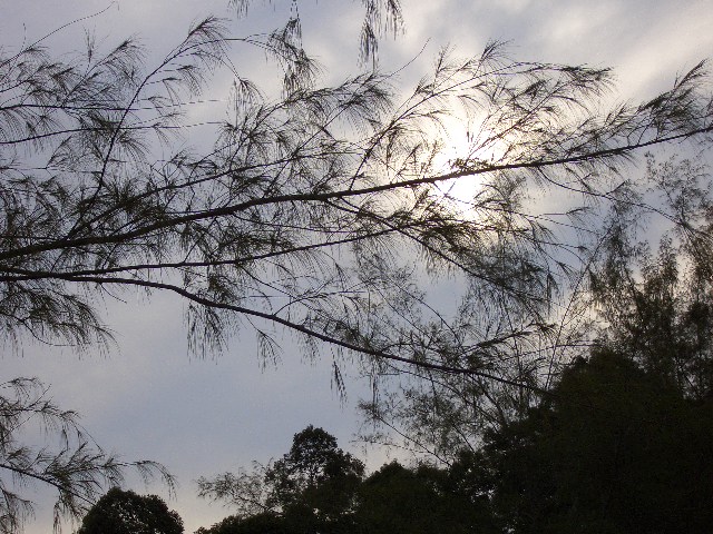 Teluk Batik 060.jpg
