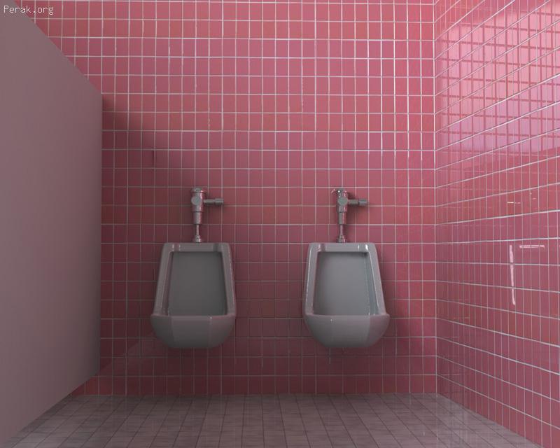 toilet_final_1.jpg
