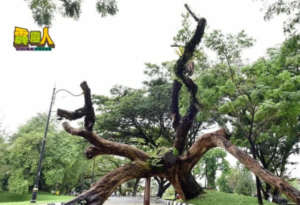 taiping2