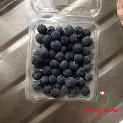 blueberries-snowy