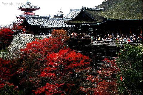日本—古京都历史古迹(京都宇治和大津城c.JPG