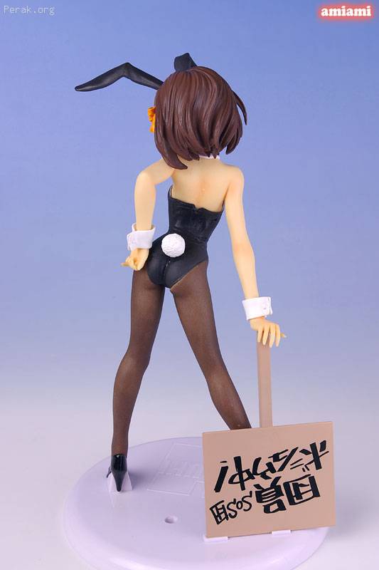 HOB-FIG-4971_03.jpg