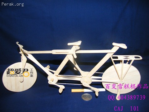 09.双人自行车.jpg