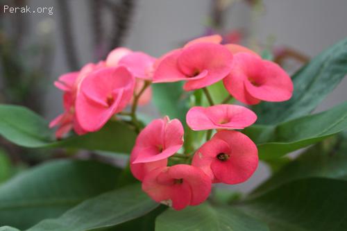 IMG_9996.jpg
