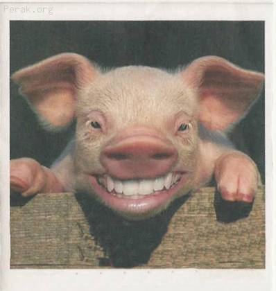 smile20.jpg
