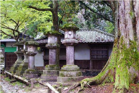 日本——古奈良的历史遗迹 c.JPG