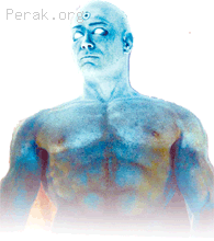 4.gif