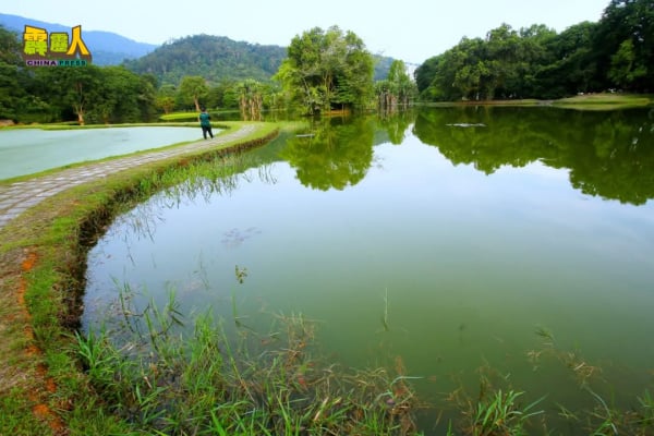 taiping4