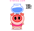pig.gif