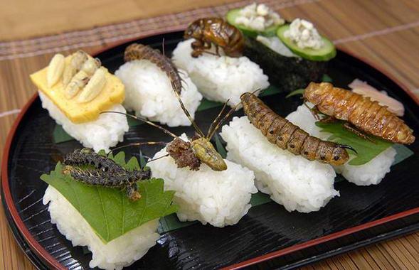 sushi weird2.jpg