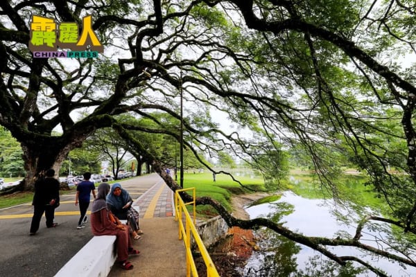 taiping1